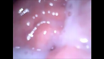 Close-Up Webcam Video Of Mouth, Vagina, And Ass Exploration