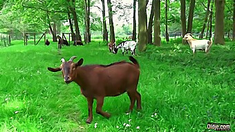 Een opa geniet van het orale plezier van een jonge tiener in de buitenlucht.