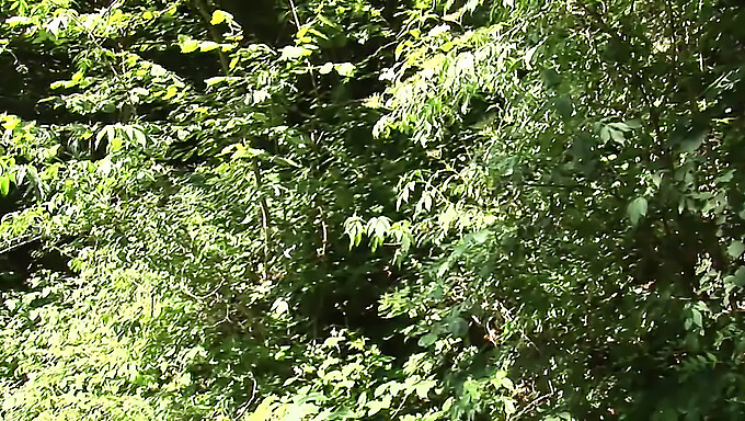 Un homme italien vintage avec une grosse bite pagaie dans les bois